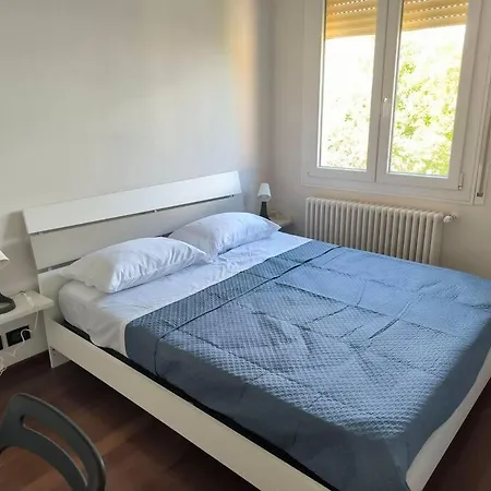 Nuovo E Delizioso Vidiciatico