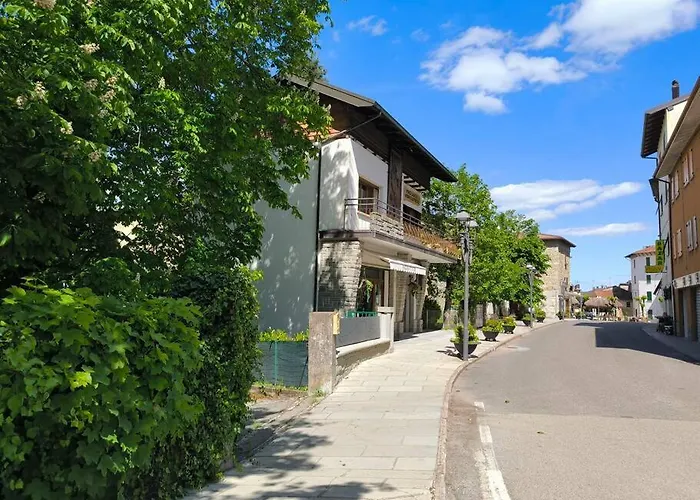 Nuovo E Delizioso Vidiciatico